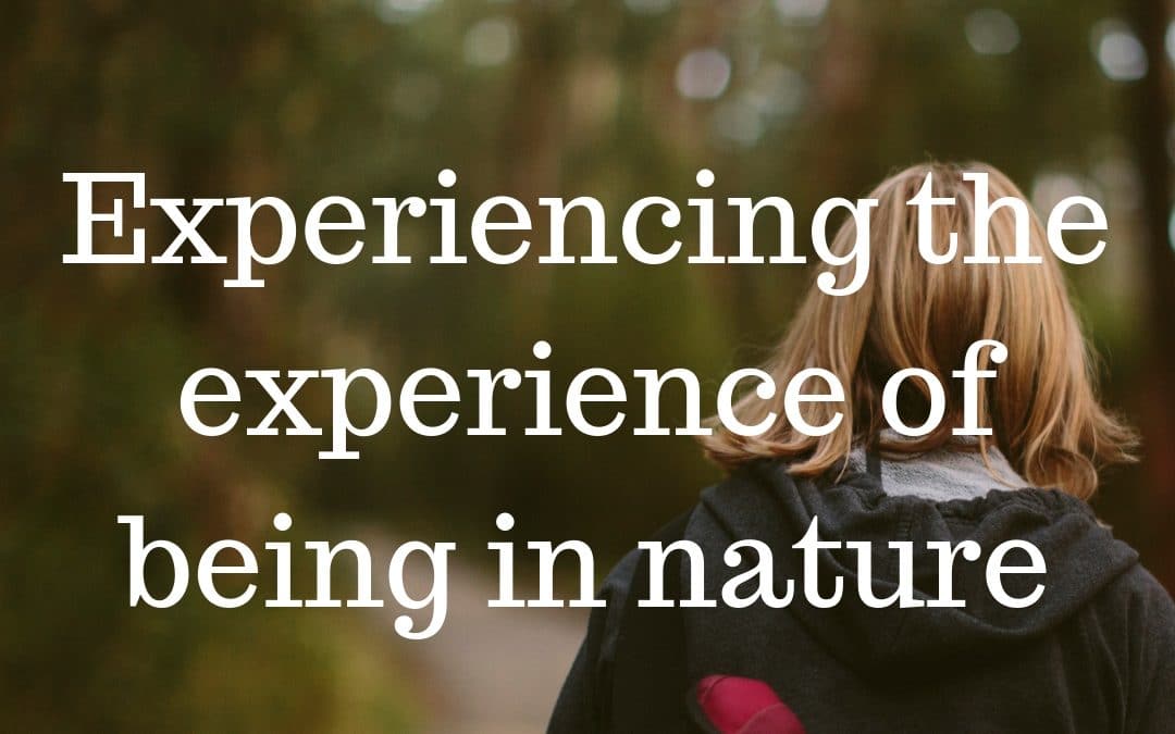 Experiencing the experience of being in nature